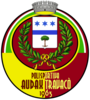Audax Calcio 1963